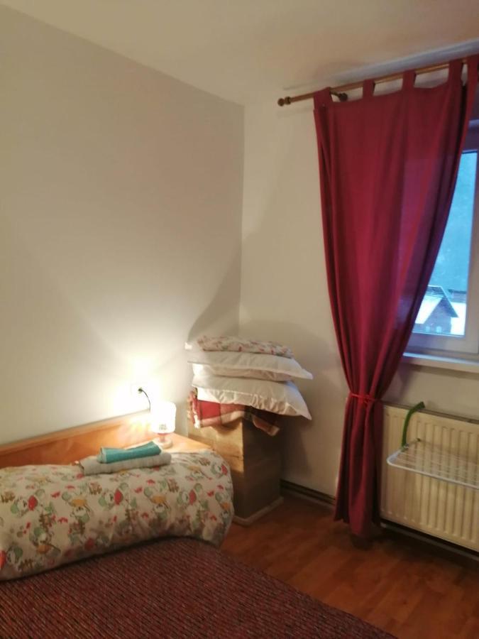 Apartment Valea Azugii Azuga Ngoại thất bức ảnh
