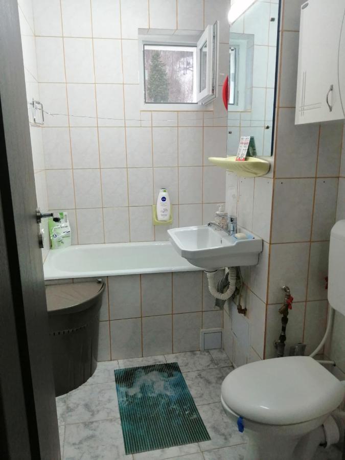 Apartment Valea Azugii Azuga Ngoại thất bức ảnh