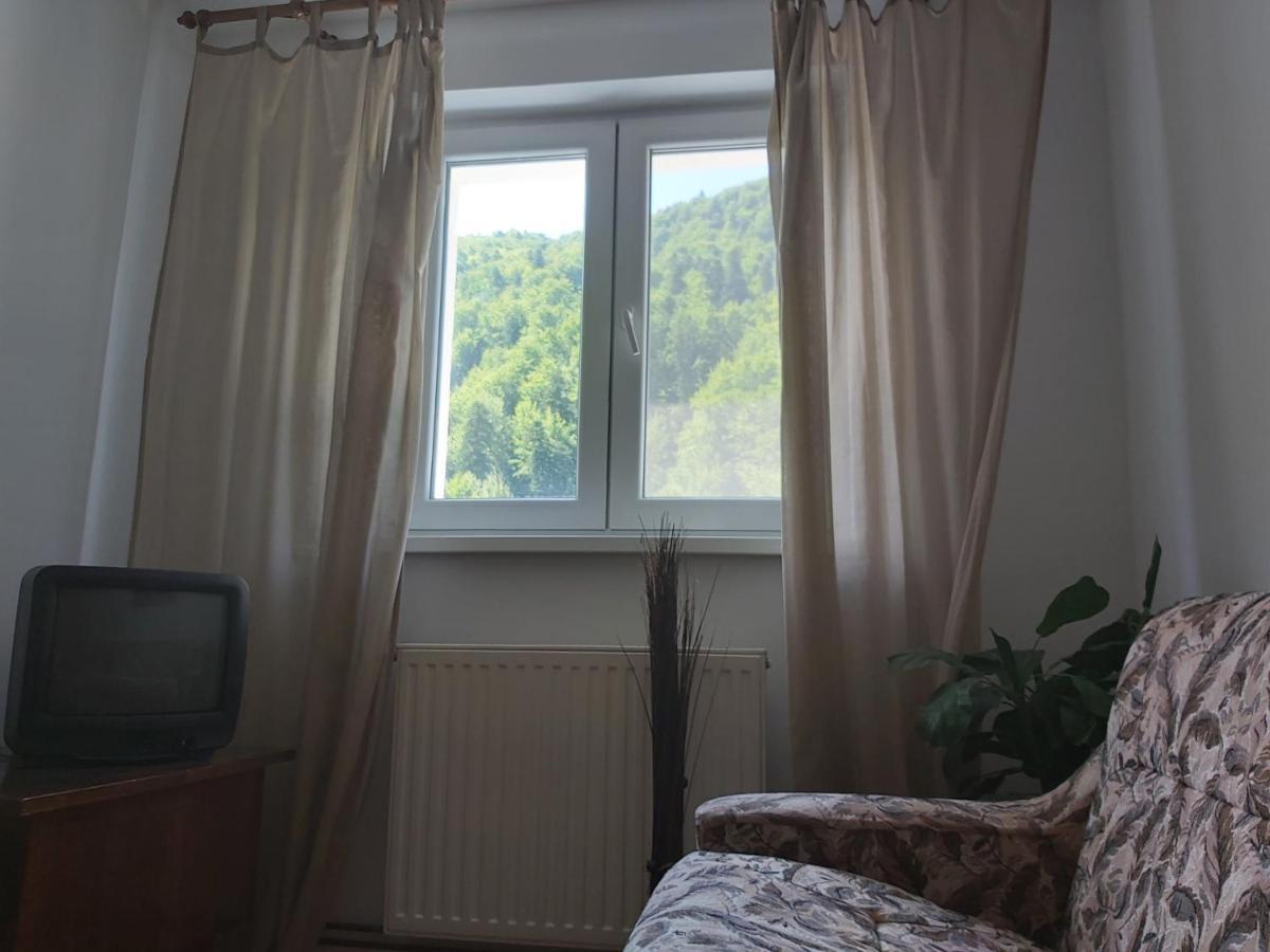 Apartment Valea Azugii Azuga Ngoại thất bức ảnh