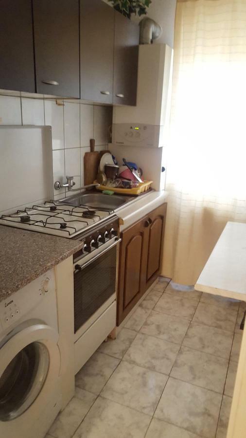 Apartment Valea Azugii Azuga Ngoại thất bức ảnh